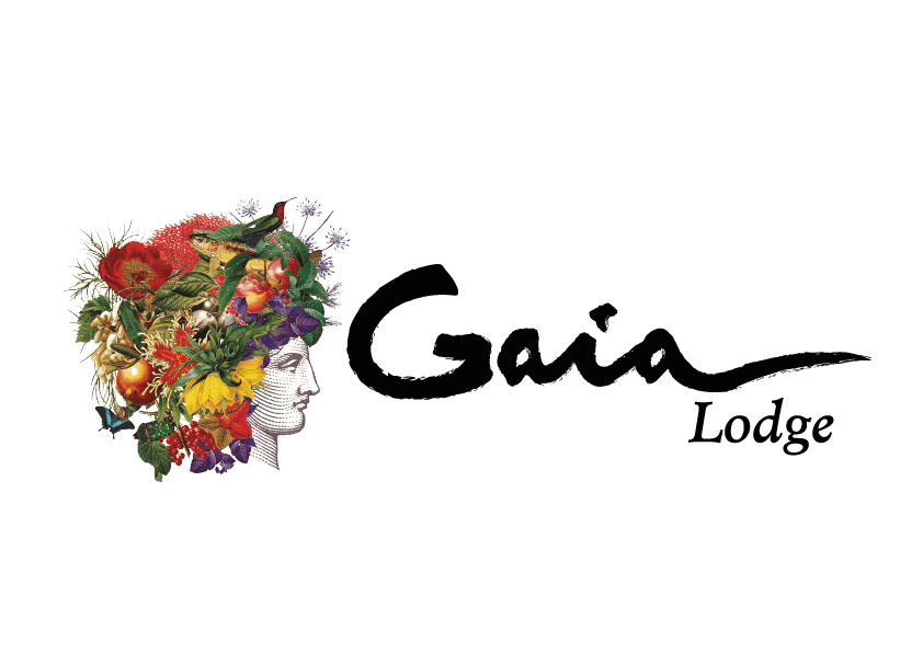 Gaia Lodge\ title=